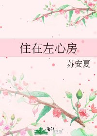 住在左心房